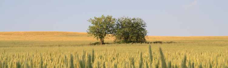 Attraverso l emanazione della Direttiva Uso Sostenibile dei Pesticidi 1, l Unione Europea traccia le linee guida affinché gli Stati Membri adottino strategie di difesa fitosanitaria progressivamente