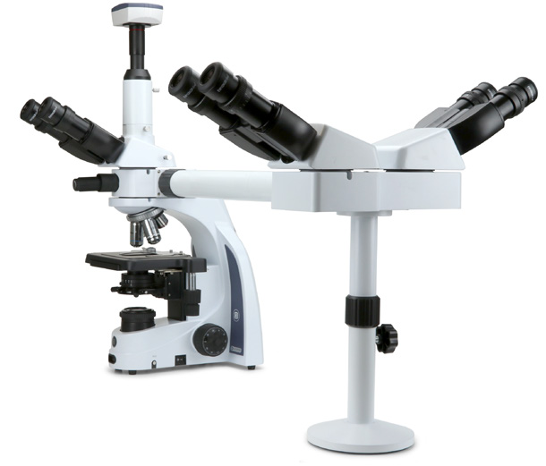 Configurazioni con una, due o quattro testate binoculari addizionali, tubi inclinati a 30 e obiettivi piani 4x, 10x, S40, S100x ad immersione in olio La testata trinoculare è dotata di oculari a