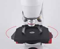 Posizionamento di precisione con tavolino portaoggetti a movimento orbitale Serie RED100 Rappresenta la linea di microscopi ideale per studenti delle scuole elementari, medie e superiori RED100 Testa