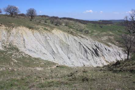 Il paese di Oliveto Lucano è, quindi, costruito su una successione sedimentaria del Pliocene medio-sup. di carattere trasgressivo (Fig. 3.3.2). a b c d Fig. 3.3.2 Caratteri sedimentari della successione di Oliveto Lucano.