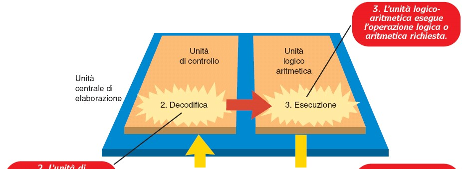 Ciclo