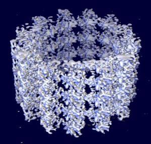 UNO SGUARDO AL FUTURO Immagine di un nanotubo Un gruppo di ricercatori dell Istituto Tecnologico del New Jersey, ha sviluppato una cella fotovoltaica economica e facile da usare che non impiega