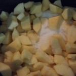 La mia mamma si è ispirata ad una ricetta della mitica Benedetta Parodi. Per prima cosa ha sbucciato e tagliato le mele a dadoni.