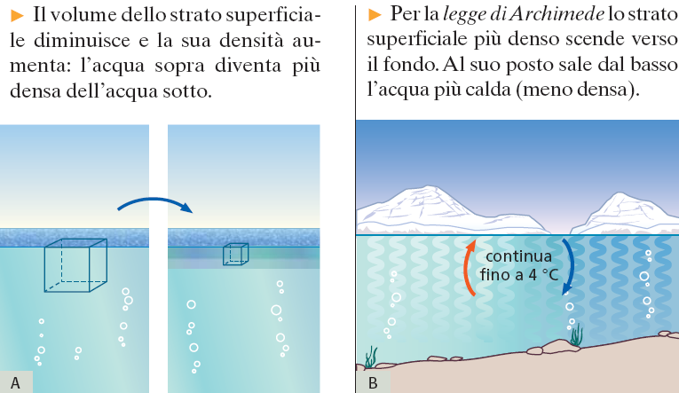 Il comportamento anomalo dell'acqua 1) Quando la temperatura