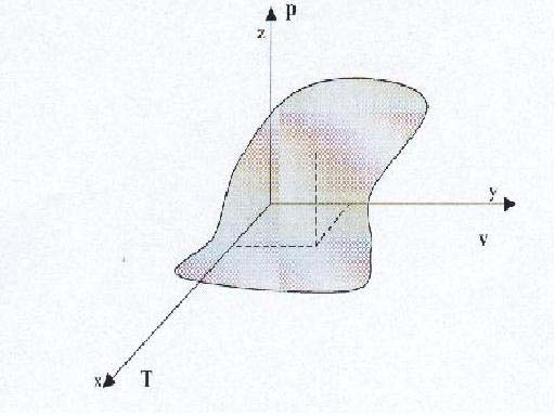 Diagrammi termodinamici Considerato un sistema chimicamente omogeneo, definito un sistema tridimensionale di assi cartesiani ortogonali, è possibile riportare i valori di pressione, temperatura e