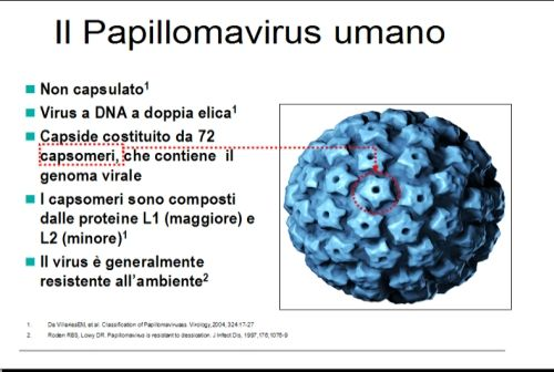 Il vaccino non contiene invece DNA virale: ecco perché non esiste alcuna possibilità di trasmettere il virus (come succede invece per i vaccini con virus attenuati, come l antipolio o l antirosolia).