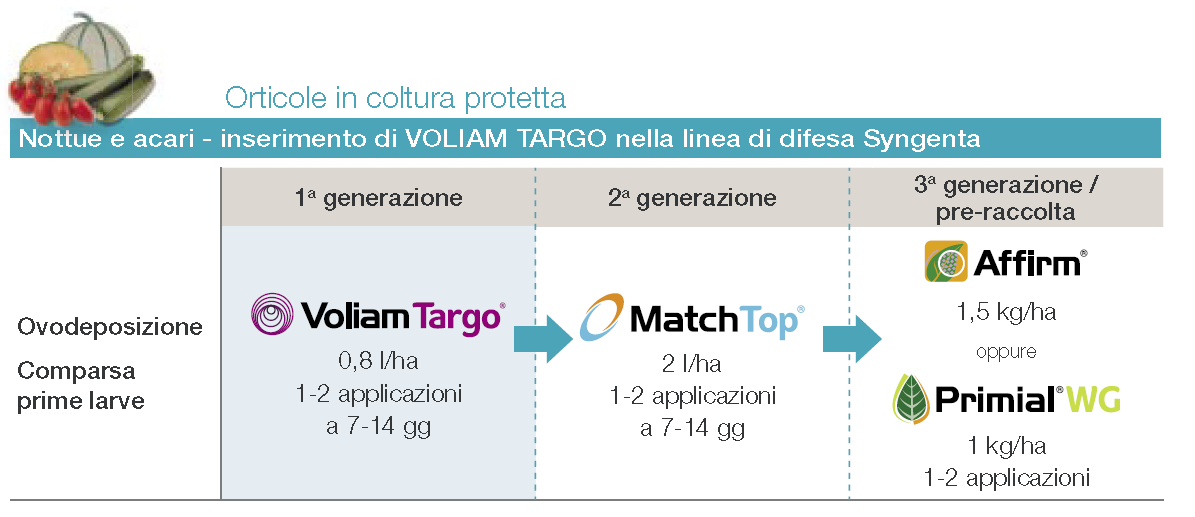 Programma di difesa