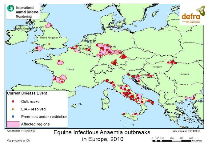 ANEMIA INFETTIVA DEGLI