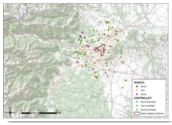 WEST NILE DISEASE La sorveglianza nell area urbana di Torino Sono stati esaminati 945 campioni preventivamente stoccati ad anamnesi silente, prelevati nell area dei 10 km dal limite urbano: -338