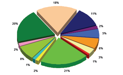 Distribuzione dei servizi