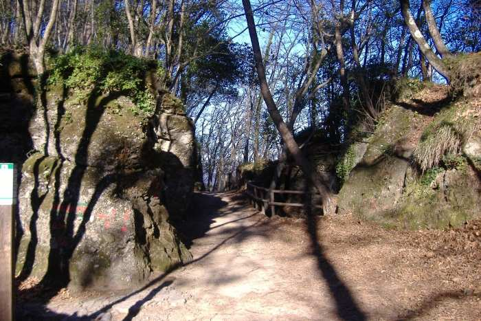 Proseguite fra gli ulivi, uscite dall'abitato e dopo un piccolo ponte arrivate fino al bivio che conduce a Batterie (bunker dei tedeschi dell'ultima guerra) e Semaforo Nuovo.