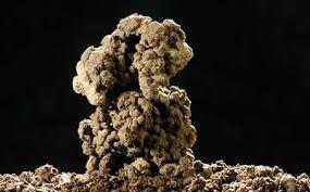 e le trasforma in complessi stabili argilla-humus.