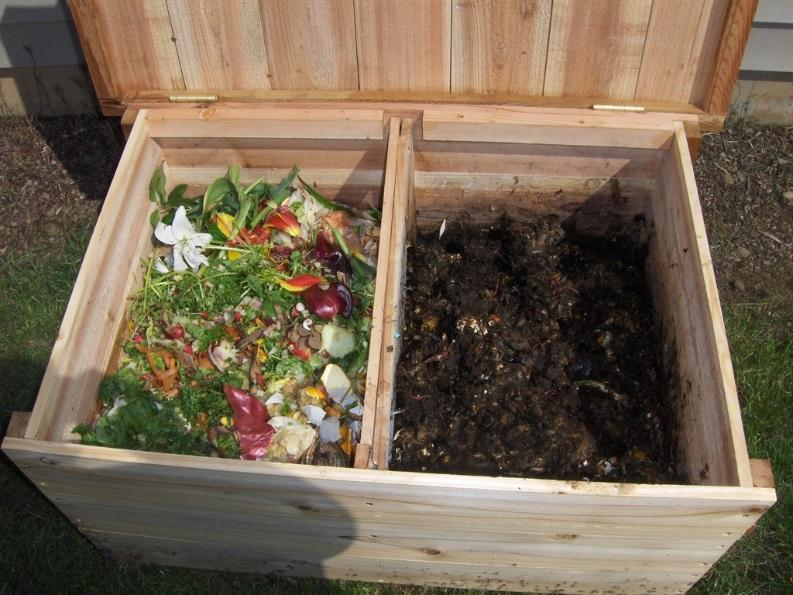 Per nutrire i vermi per il compostaggio si dovranno seguire alcune regole: utilizzare il misto di rifiuti secchi e liquidi, compresi gli scarti vegetali, bucce di frutta, gusci di uova, fondi caffè,