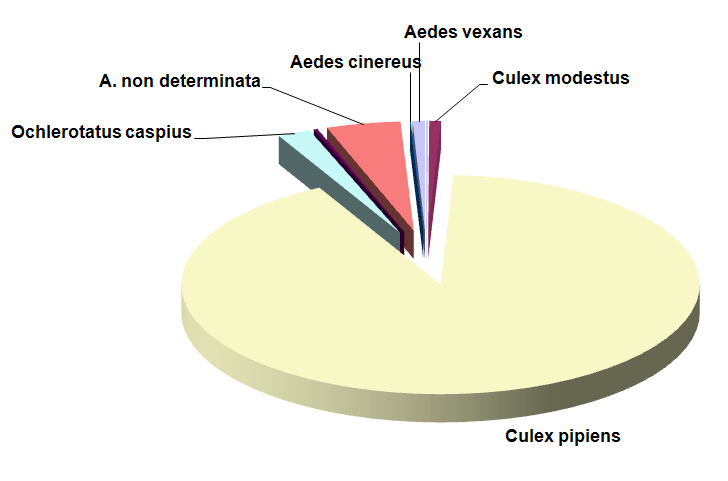 La presenza percentuale di ogni singola specie rispetto allo scorso anno rimane abbastanza costante, con la Culex pipiens che rimane la specie più rappresentata con oltre il 90% delle catture.