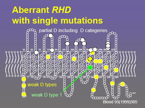 Partial: derivano da mutazioni puntiformi a livello delle regioni del gene RHD che codificano per la