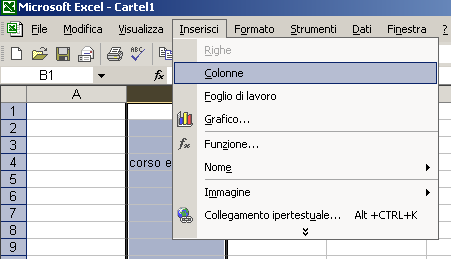 menu Inserisci Colonne la nuova colonna