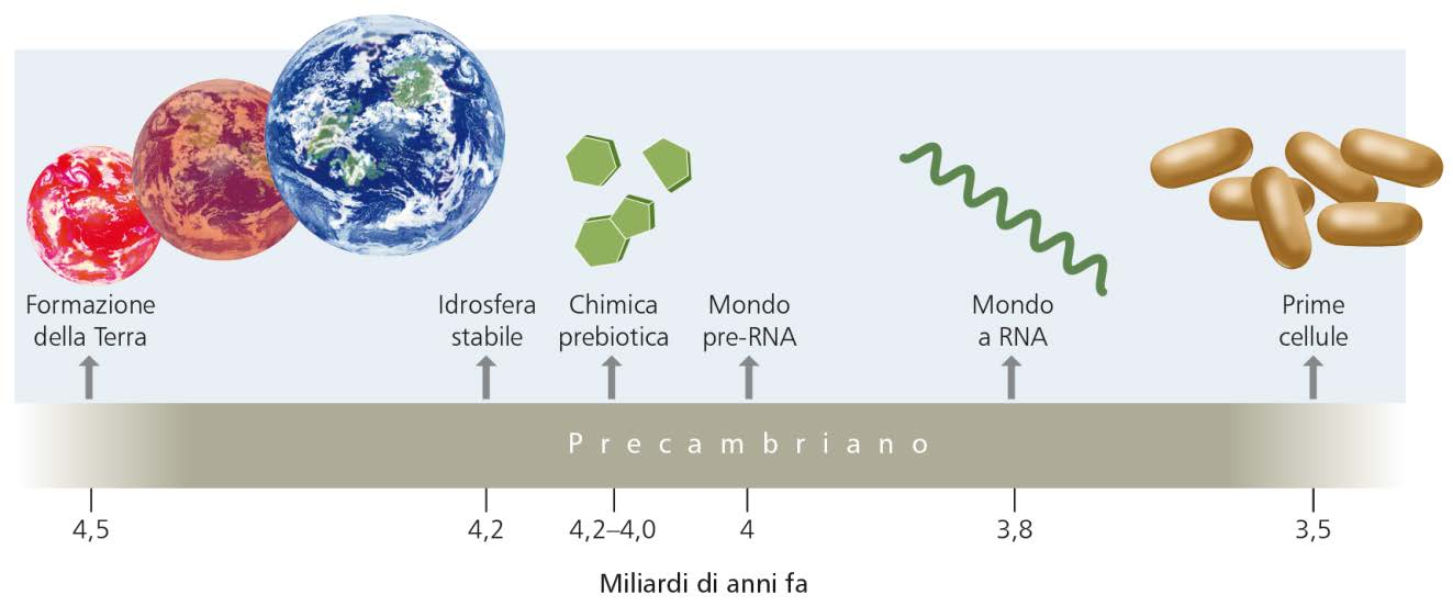 della biologia UNITA e DIVERSITA della vita sulla