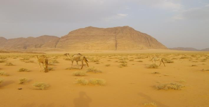 Giordania è disseminata di tracce dei popoli che l hanno abitata: dai pittogrammi dei primi nomadi del Wadi Rum alle grandiose architetture nabatee di Petra, passando per le città bibliche di Sodoma