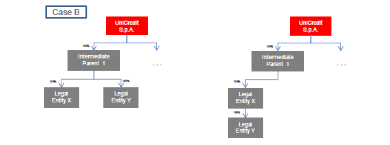 Manuale contabile di Gruppo - Policy contabile interna CASE B: In questo caso la BCUCC comporta la vendita di LE Y da Intermediate Parent 1 a legal