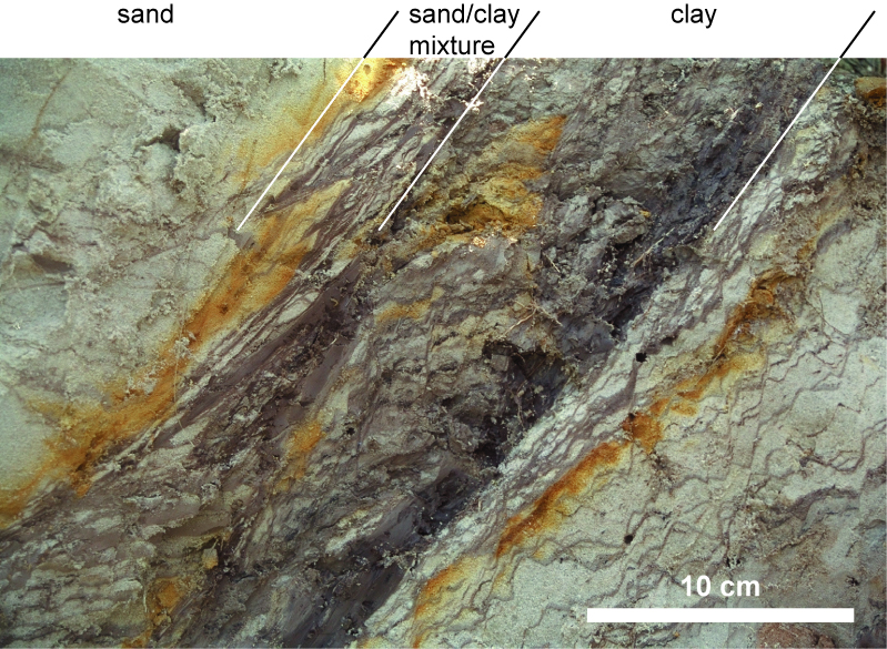 Immagine al microscopio elettronico di una cataclasite (chiara) e della roccia incassante