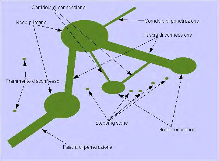 Figura 16: Schema esplicativo delle diverse tipologie di elementi costitutivi della rete.