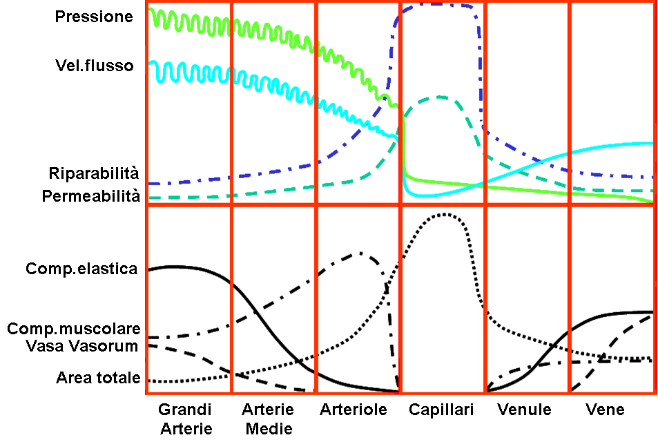 Variazione di alcuni