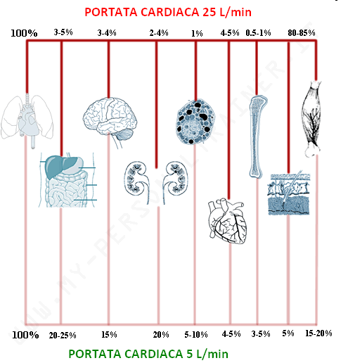 Variazione del consumo di O 2 in rapporto alla