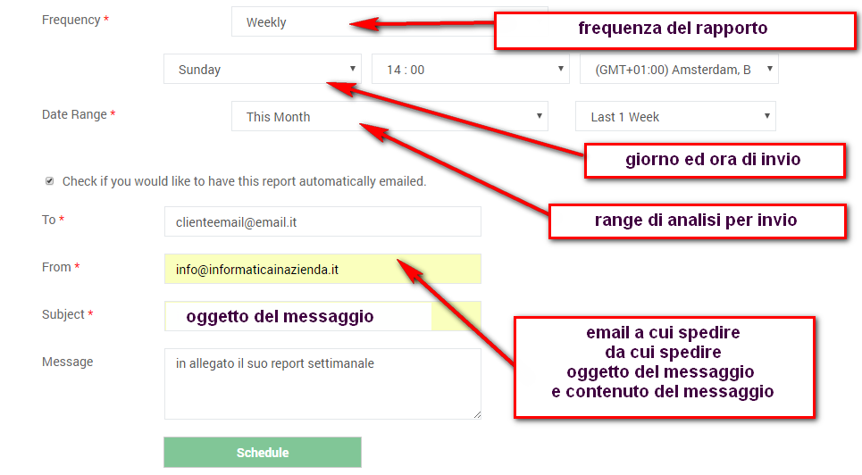 Al termine premere sul pulsante SCHEDULE per generare il processo di creazione report nel giorno stabilito.