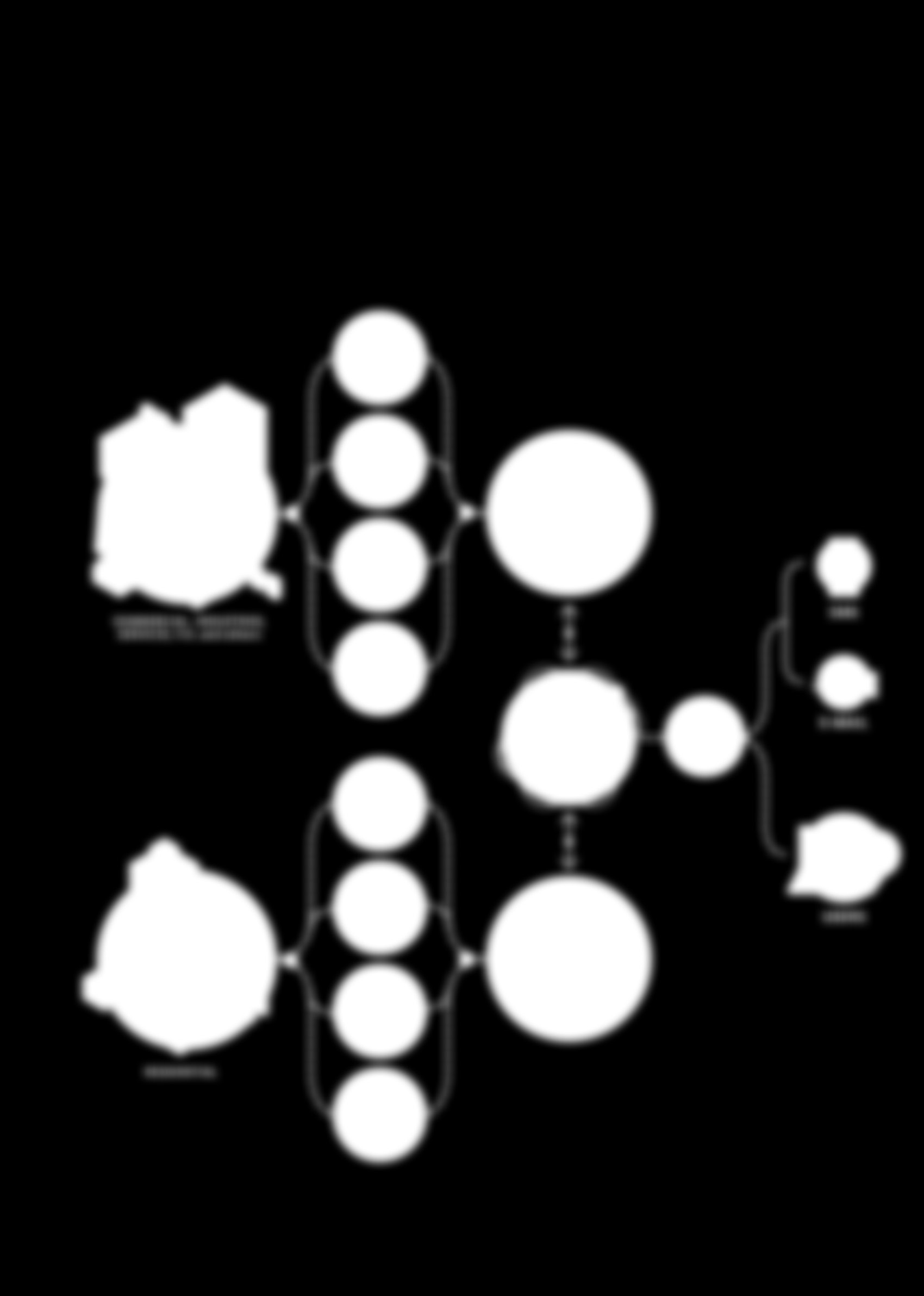 STRUMENTI E SISTEMI PER MISURE ELETTRICHE INSTRUMENTS AND SYSTEMS FOR ELECTRICAL MEASUREMENTS