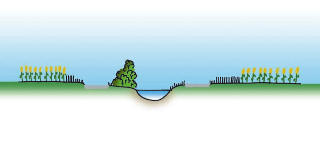 facenti parte del corso d acqua. La totalità della fascia tampone è ricoperta da vegetazione rivierasca tipica o erbacea per tutto l anno. I boschetti rivieraschi fanno parte della fascia tampone.
