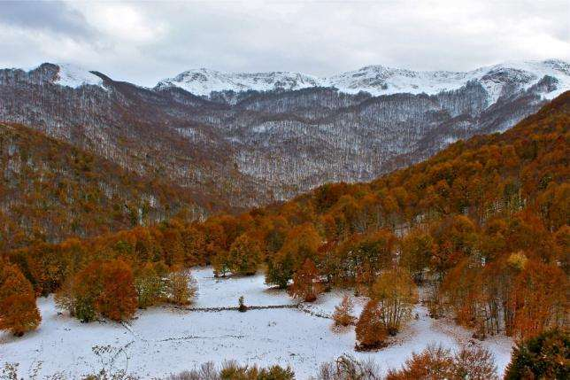 ALLA SCOPERTA DEL CAMOSCIO D ABRUZZO 8/9 dicembre 2012 - Trekking fotografico sulle cime più belle del Parco Nazionale d Abruzzo Lazio e Molise alla scoperta del camoscio appenninico Il Parco