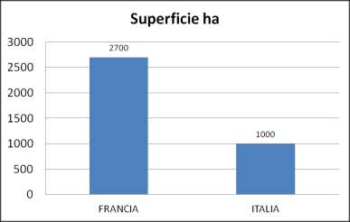 mono filare Fonte INRA