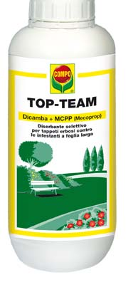 100 g di prodotto contengono: Dicamba puro g 1,07 (11,2 g/l da sale dimetilamminico Mecoprop puro g 12,9 (135,4 g/l da sale potassico Coformulanti q.b. a g 100 Formulazione: liquido solubile Classificazione: irritante Reg.