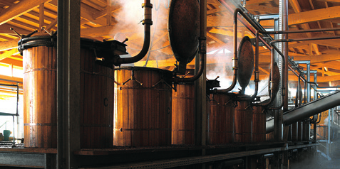 Le Distillerie Nonino, uniche al mondo, sono composte da Cinque Distillerie Artigianali ognuna con 12 alambicchi discontinui a vapore in rame, per la produzione delle inimitabili Acqueviti Nonino,