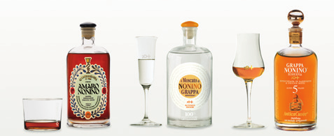 Amaro Come Degustare i Distillati Nonino in Purezza Salato Acido Dolce Le quattro zone del gusto della lingua.