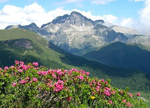 24 LUGLIO Gita alpinistica a Cima d Asta Da Pieve Tesino si imbocca la ripida stradina che percorre la Val Malene fino a giungere a Malga Sorgazza (1450 m) dove si parcheggia.