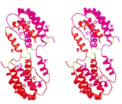 Questi virus usano gli omologhi virali per sopprimere la produzione precoce di citochine immunoregolatorie, portando così ad un inefficace risposta immunitaria. IN CHE MODO?