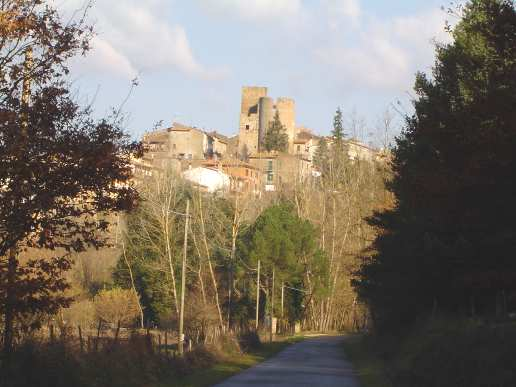 A differenza di Sorano, connotato da un sistema insediativo diffuso di matrice storica, il sistema insediativo del Comune di Pitigliano si sviluppa unicamente lungo la Maremmana su