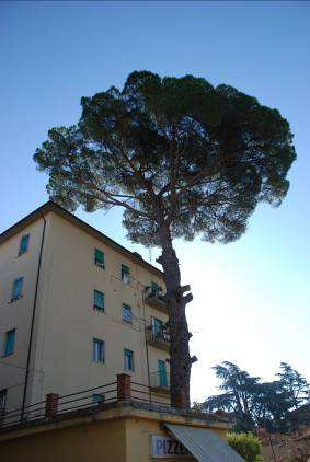 Zona del centro storico di Montorio ed area circostante in comune di Sorano D.M. 21/02/1977.