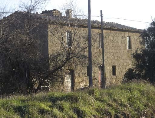 1-2-3 Vigneti ed oliveti lungo la strada Maremmana da Pitigliano verso Sorano.