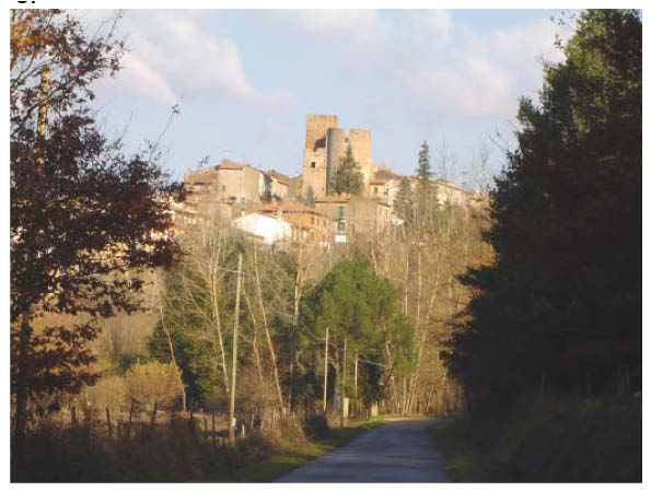 A differenza di Sorano, connotato da un sistema insediativo diffuso di matrice storica, il sistema insediativo del Comune di Pitigliano si sviluppa unicamente lungo la