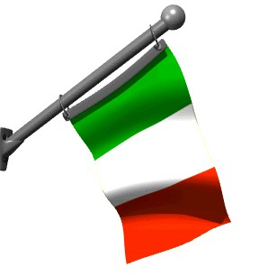La produzione italiana in dettaglio Mangimi Anno 2011 Anno 2012 % Var. % sul totale 2011/2010 Avicoli 5.700.000 5.770.000 40,4 + 1,2 Bovini 3.755.000 3.585.000 25,1-4,5 Suini 3.460.000 3.360.