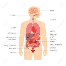 Cause organiche degli stati di agitazione : Ipoglicemia