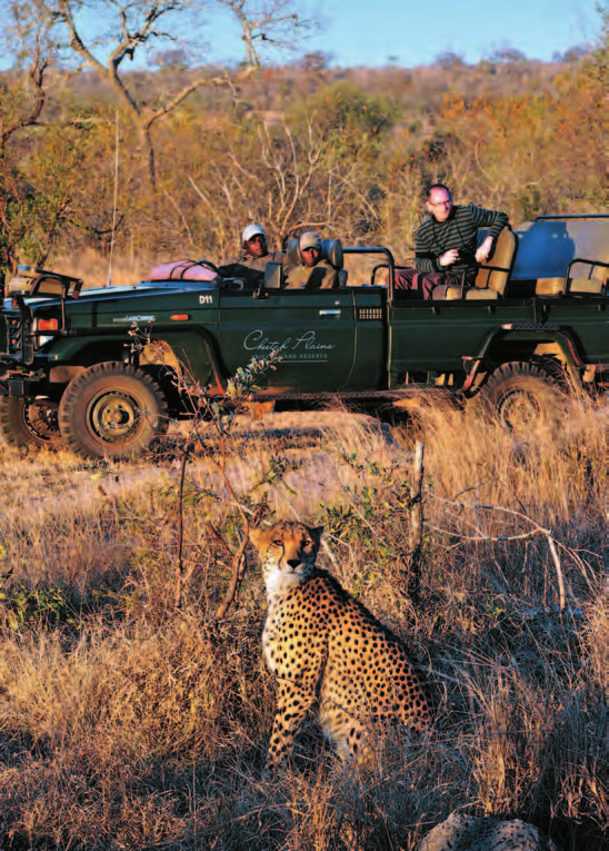 Zimbabwe, dove le barriere sono state rimosse e gli animali sono liberi di spostarsi all interno di un vastissimo territorio.