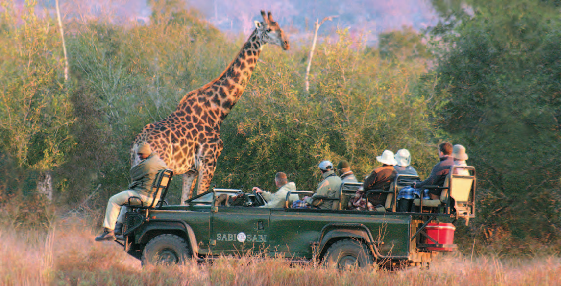 Parco Kruger à la carte THORNYBUSH WATERSIDE LODGE AREA DI TIMBAVATI CATEGORIA: prima superiore Pensione completa e due fotosafari POSIZIONE: situato sulle rive di un lago nella riserva privata di