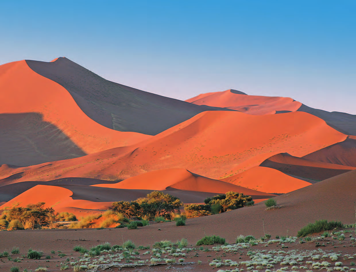 Namibia terra affascinante e selvaggia Sossusvlei 36 Namibia, una terra affascinante e selvaggia, un paese inusuale dove il deserto regna sovrano in tutte le sue forme.