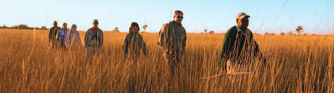 Campi e lodges in Botswana à la carte Un viaggio in Botswana è un esperienza unica e indimenticabile, grazie alla sua ricchissima natura selvaggia ma anche grazie al soggiorno negli esclusivi e