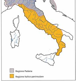 Introduzione Nelle acque interne italiane sono presenti 63 taxa indigeni di pesci, di cui 4 appartenenti alla classe dei Ciclostomi e ben 59 alla classe degli Osteitti o Pesci Ossei.