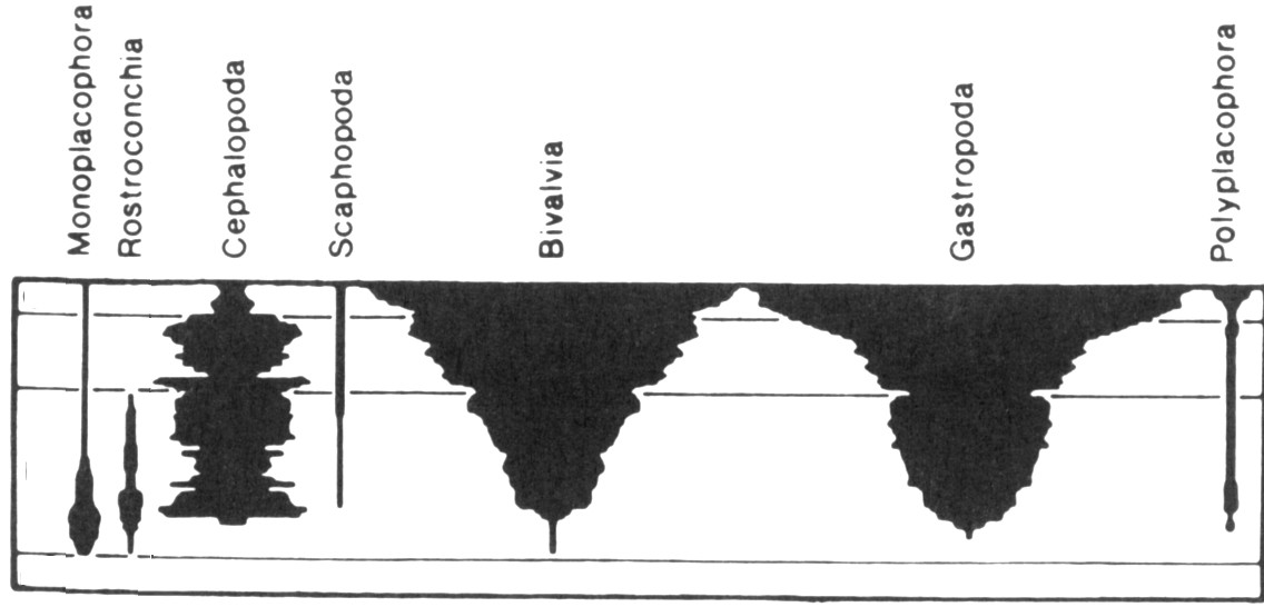 distribuzione stratigrafica Cenozoico