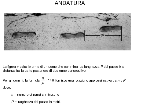 Testo completo delle prove PISA Domanda 1: ANDATURA Se la formula si applica all andatura di Enrico ed Enrico fa 70 passi al minuto, qual è la lunghezza del passo di Enrico?